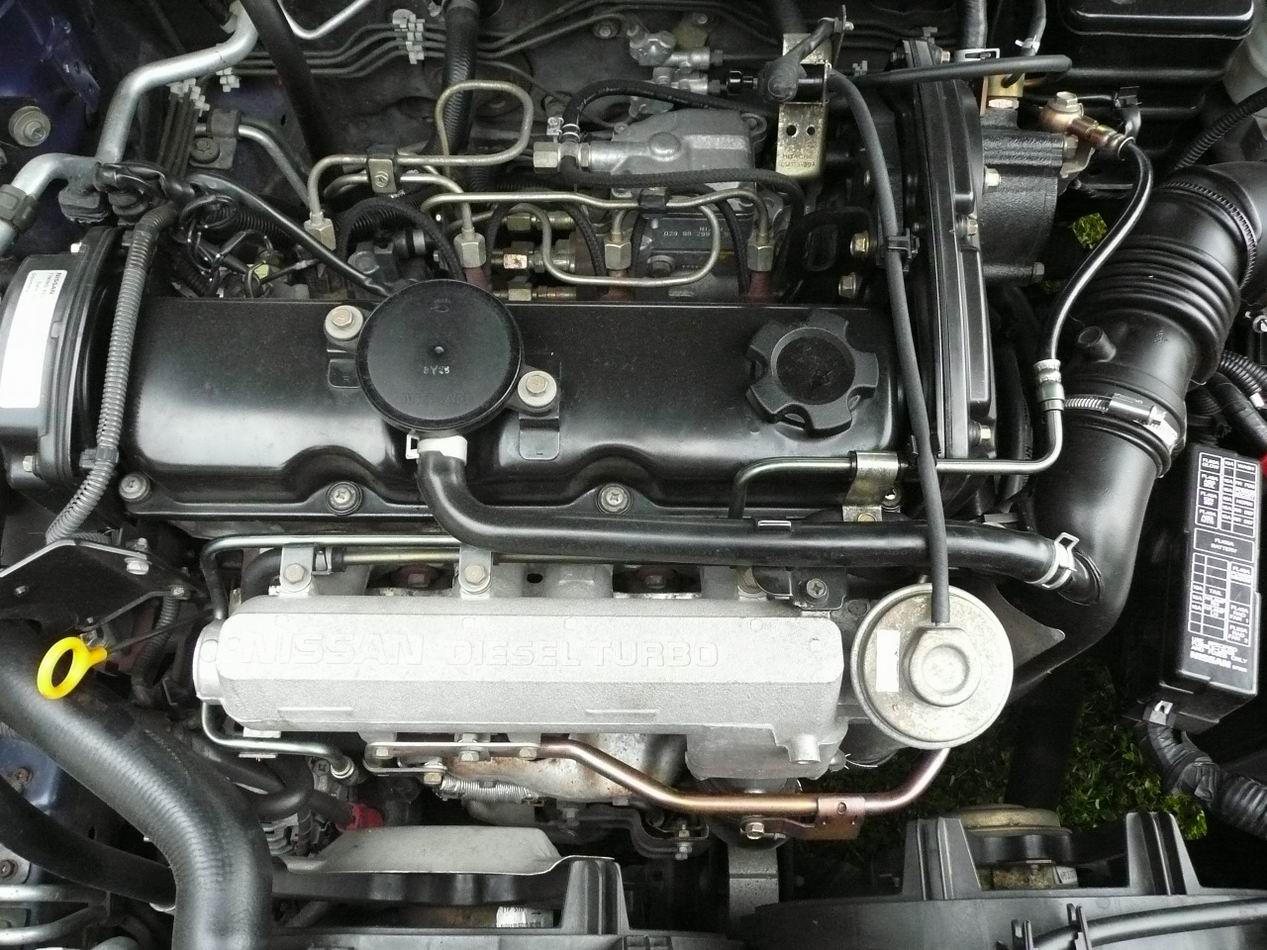 CD20T
